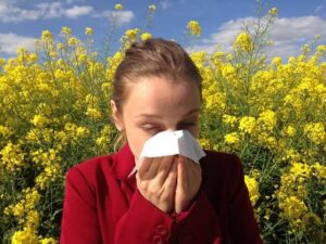 alergia primaveral polen